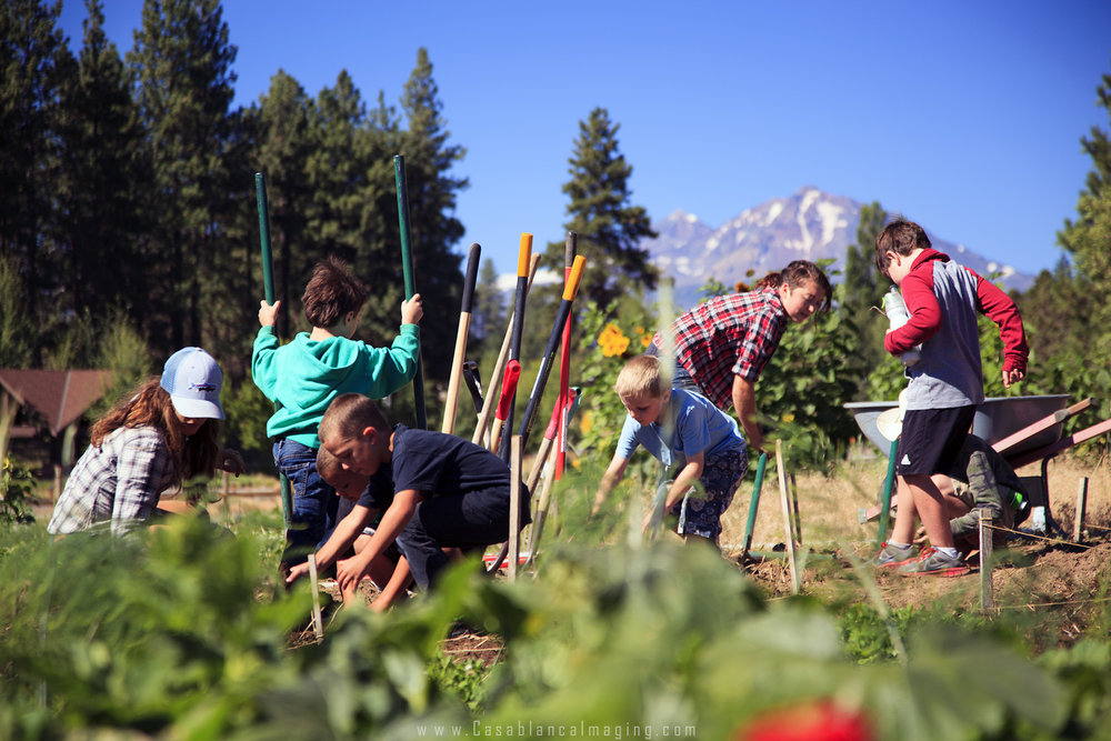 Seed to Table Growing Big Event Sisters Saloon & Ranch Grill